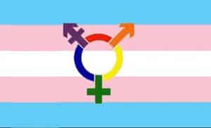 Transgender assessment, gender dysphoria